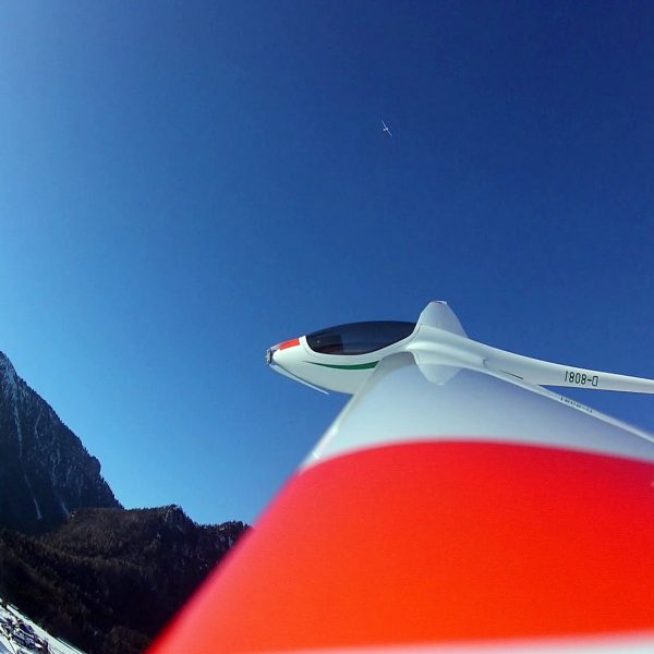 Segler im Flug